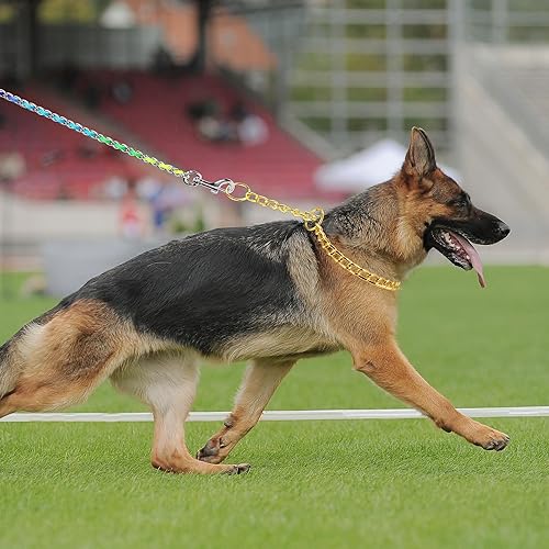 Miniatura 6 de Mogoko Collar de cadena de acero inoxidable para perro, collar de metal para cachorros, collar deslizante de cadena en P para entrenamiento de