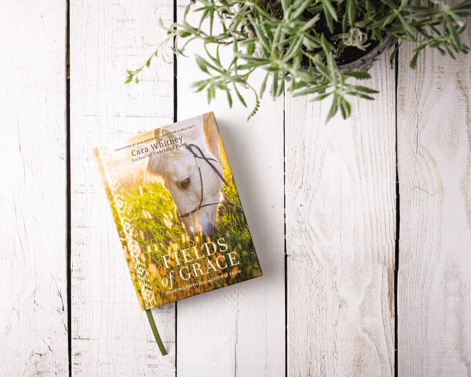 Fields of Grace: Sharing Faith from the Horse Farm - Image 5