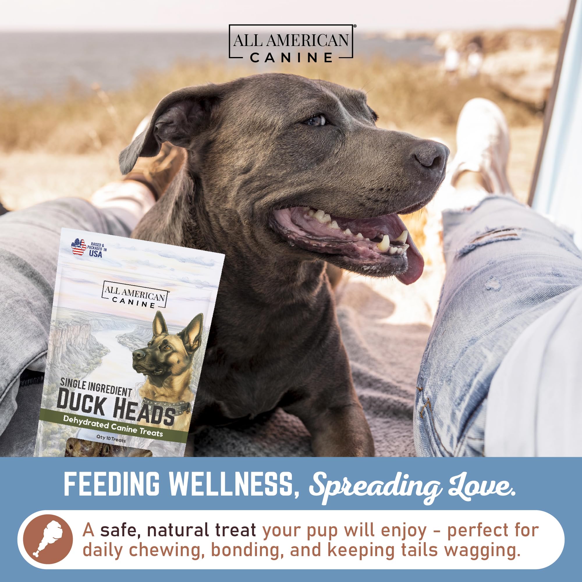 All American Canine Entenköpfe für Hunde, dehydrierte Hundeleckerlis, 10 Stück | Dehydrierte ganze Entenköpfe | High Protein Low Fat Chew | Unterstützt Zähne und Training | Getreidefrei | Made in USA