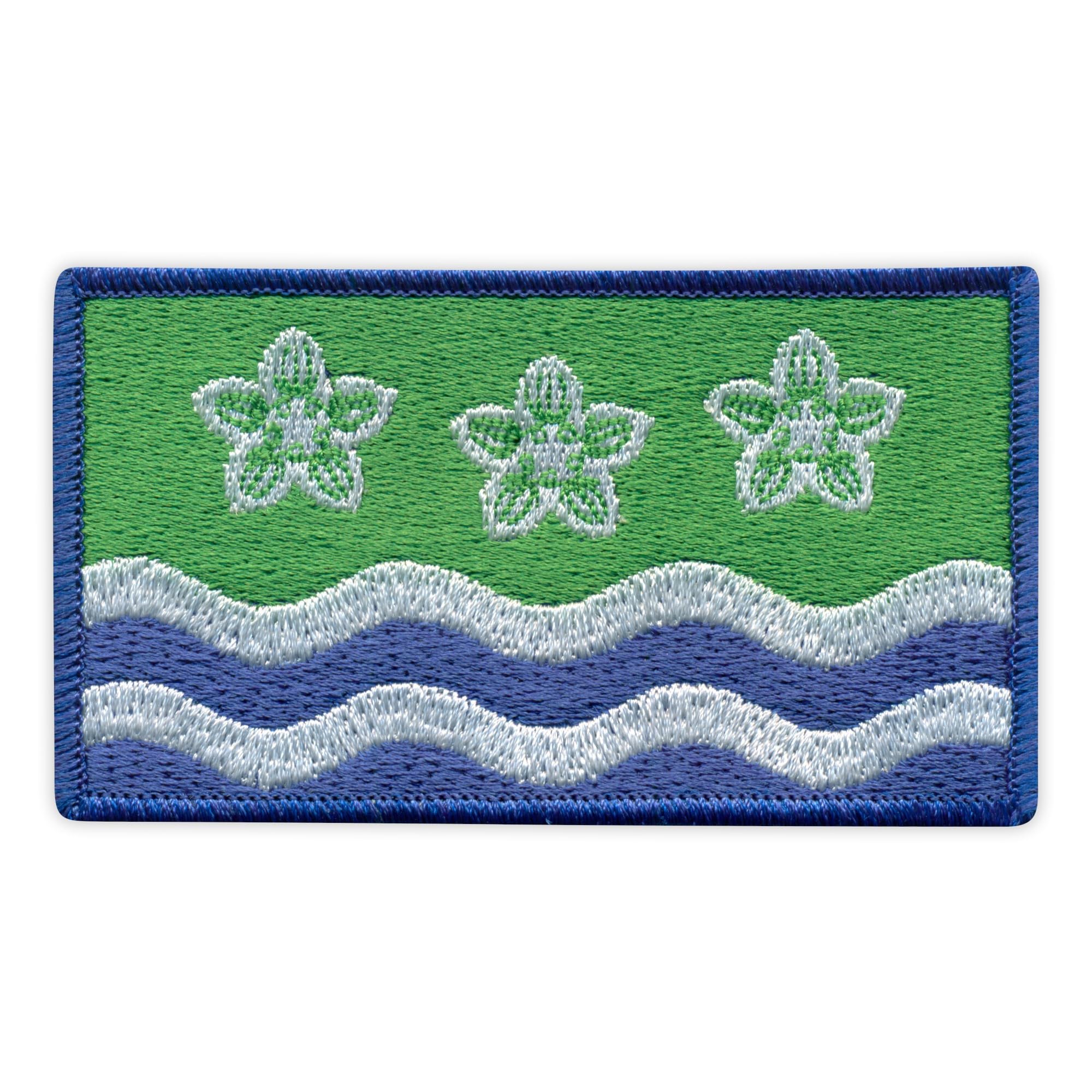 Juego de cuatro – Bandera de Patchion de Cumberland – Parte trasera termosellada – Parche bordado/insignia/emblema