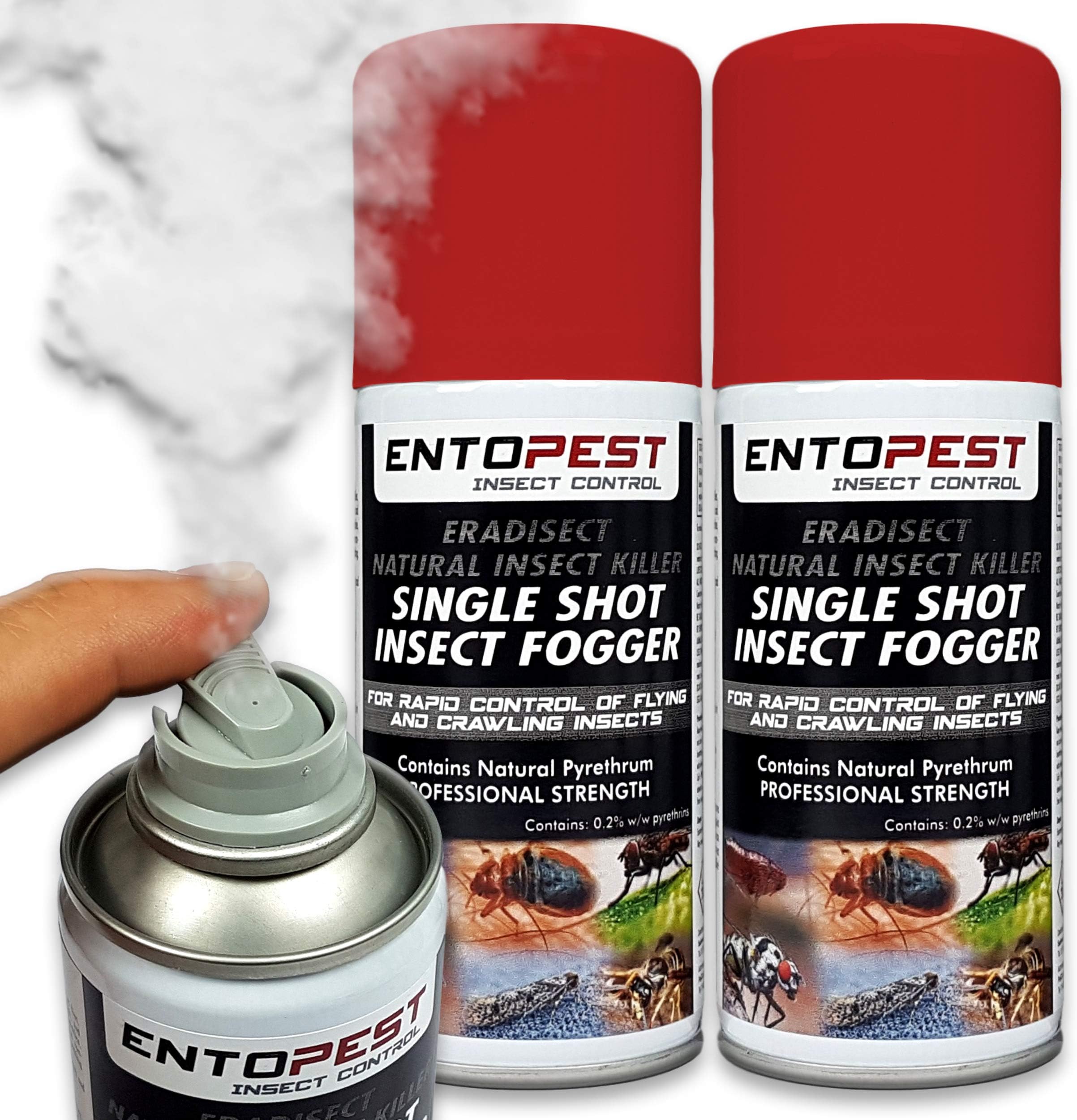 EntopestTotal-Release Cluster Fly Fogger for Attic, Room & Void Treatment Control 2 x 150ml Twin Pack (Pro Strength, Eradisect Natural Insect Killer Aerosol)