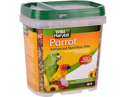 Best Bird Food for African Greys in 2024: Top 10 Picks for Healthy Parrots