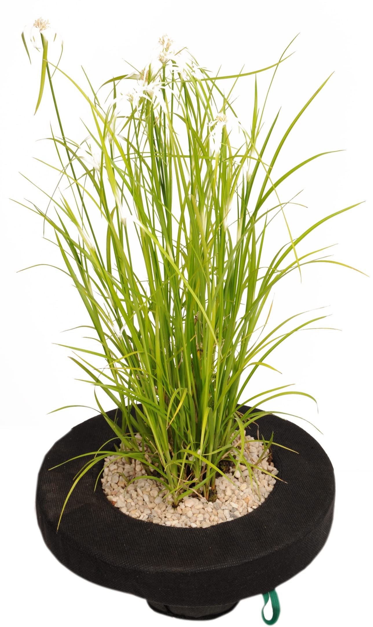 PondH2o 35,6 cm rotondi galleggianti acquatici da giardino stagno per laghetti, 2 pezzi, galleggianti acquatici da giardino e laghetti per piante da laghetto e acqua | Confezione da 2