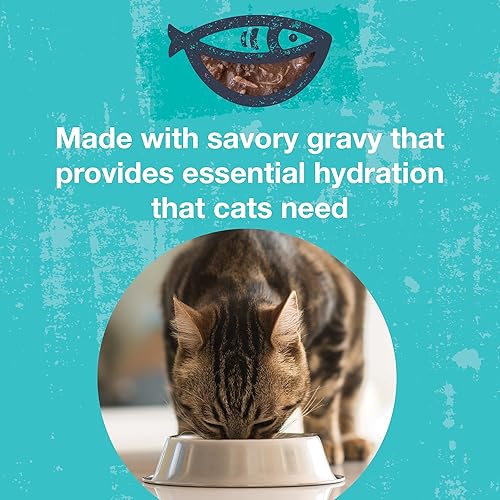 Miniatura 6 de Poké Bowl - Entree de atún y pollo en salsa para gatos, paquete de 12 bolsas de 3 onzas