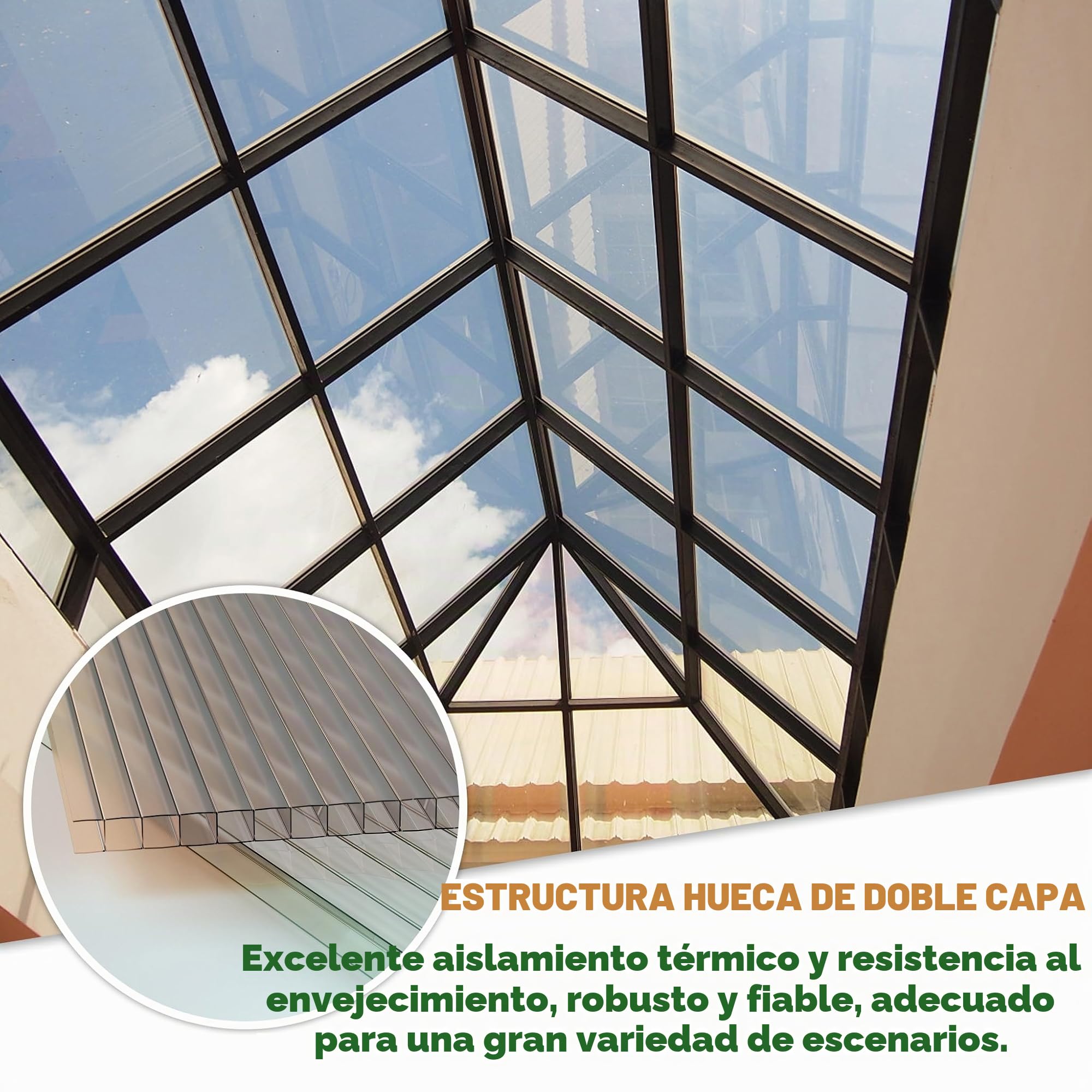 Froadp 14 Piezas Láminas de Policarbonato Celular Plástico Resistente UV-Rayos Accesorios de Doble Ranura para Plantas Cultivos Sistemas de Carpas de Invernadero de Jardín(605x1210x4mm, Transparente)