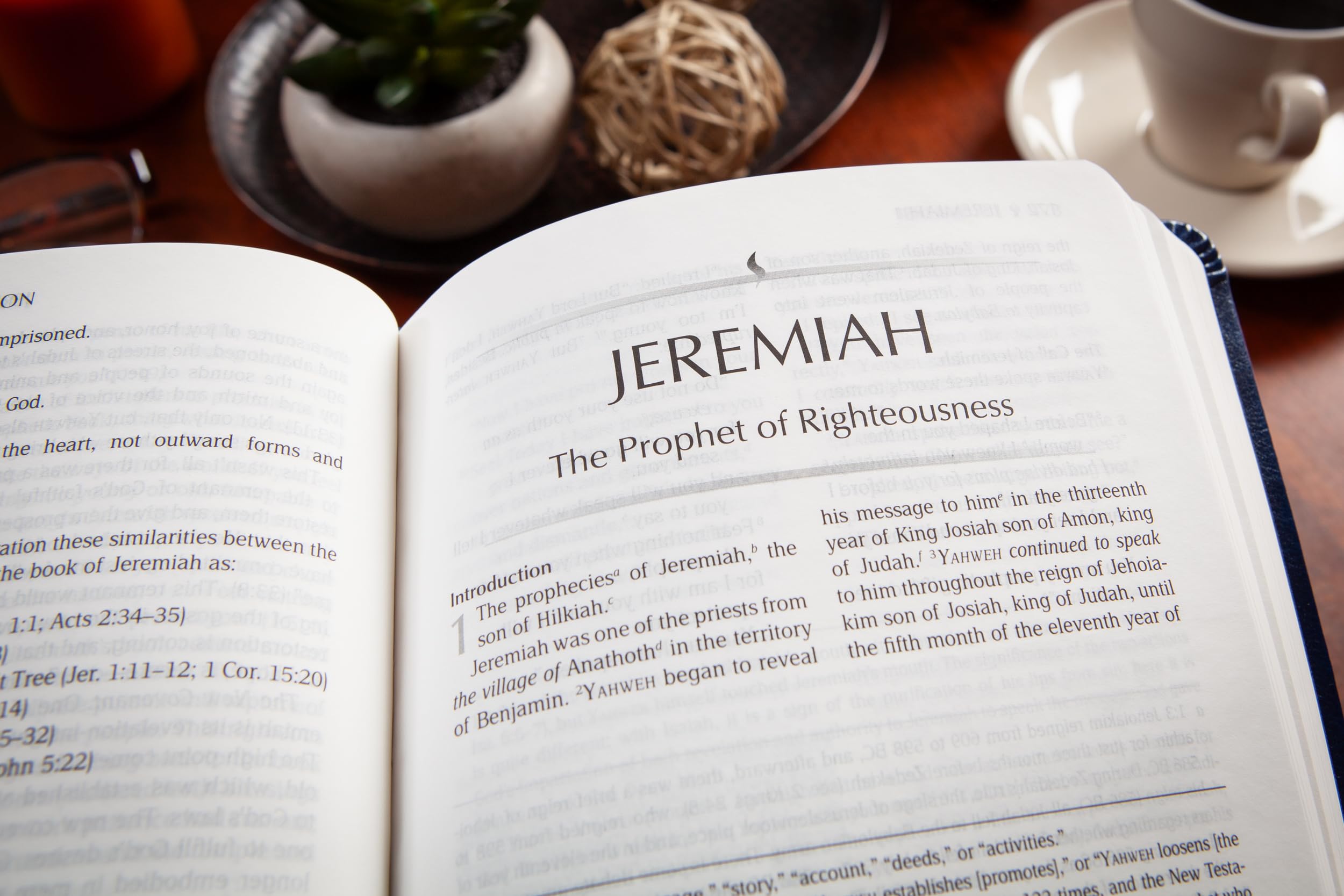 The Books of the Prophets: God's Messengers (the Passion Translation) Navy