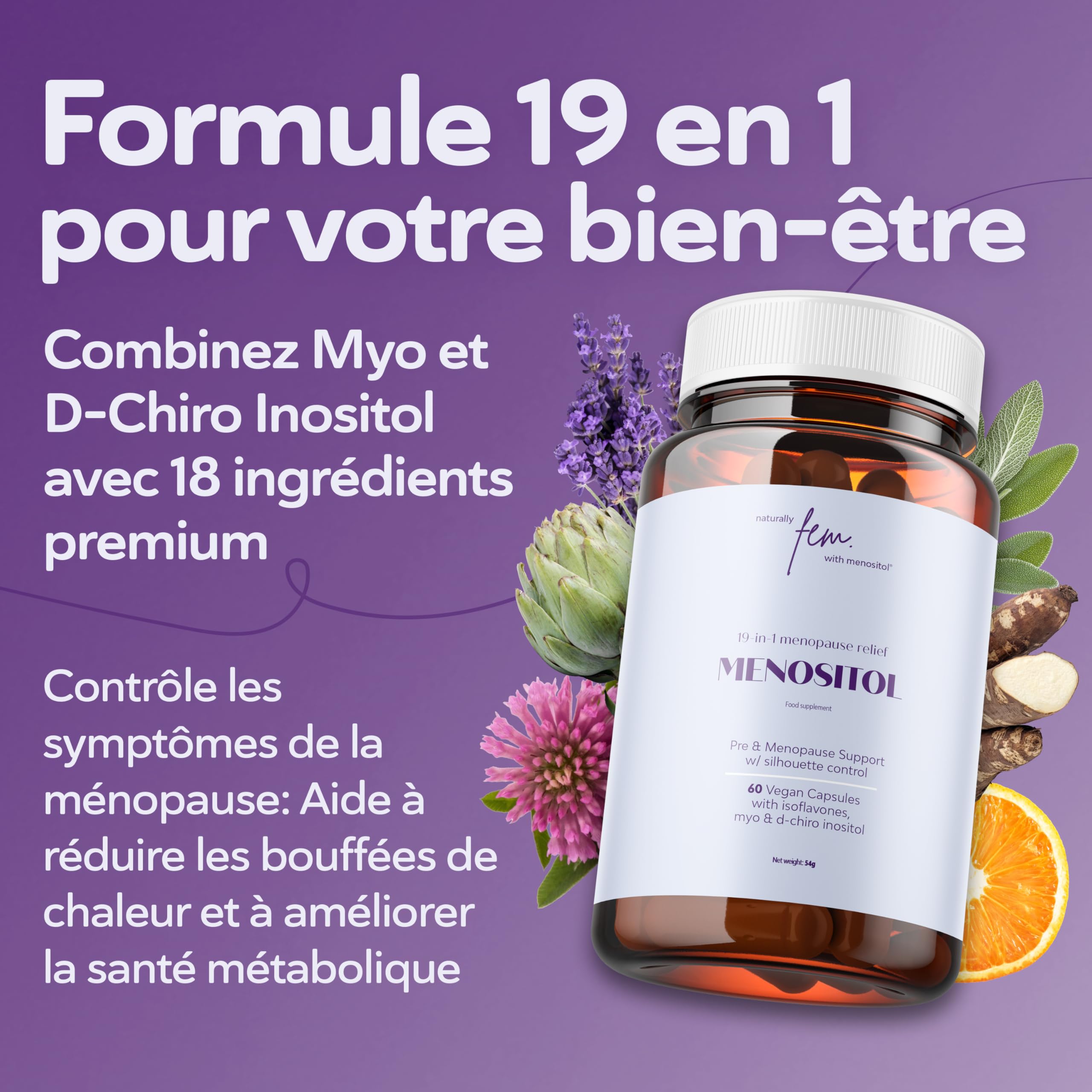 Ménopause & Bouffées de Chaleur | Inositol FEM Menositol SOPK 19-en-1 | Complément Menopause avec Myo-Inositol, D-Chiro, Isoflavones & Sauge | Soutien Hormonal, Sommeil & Humeur | Qualité Premium