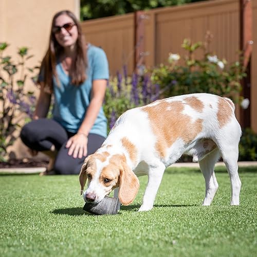 Miniatura 8 de Water Buffalo Prime Dog Bone Surtido de huesos para perros, huesos y golosinas naturales para perros, paquete de 11 (masticables de larga duración