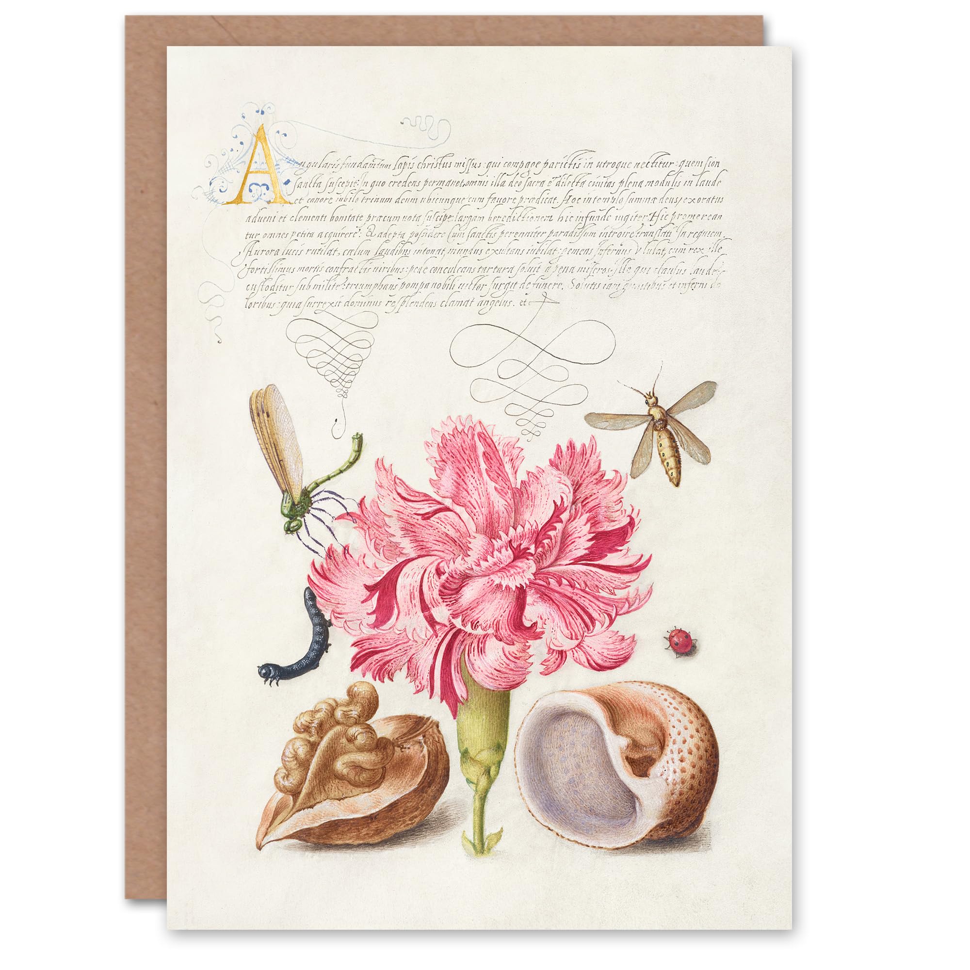 Artery8 Model Book of Calligraphy Art Card Carnation Walnut and Mollusk