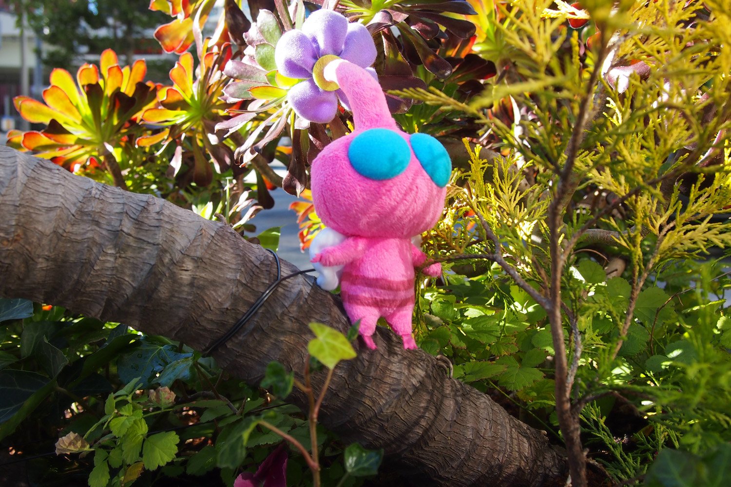 Amazon.co.jp: ピクミン PK05 羽ピクミン ぬいぐるみ 高さ15cm
