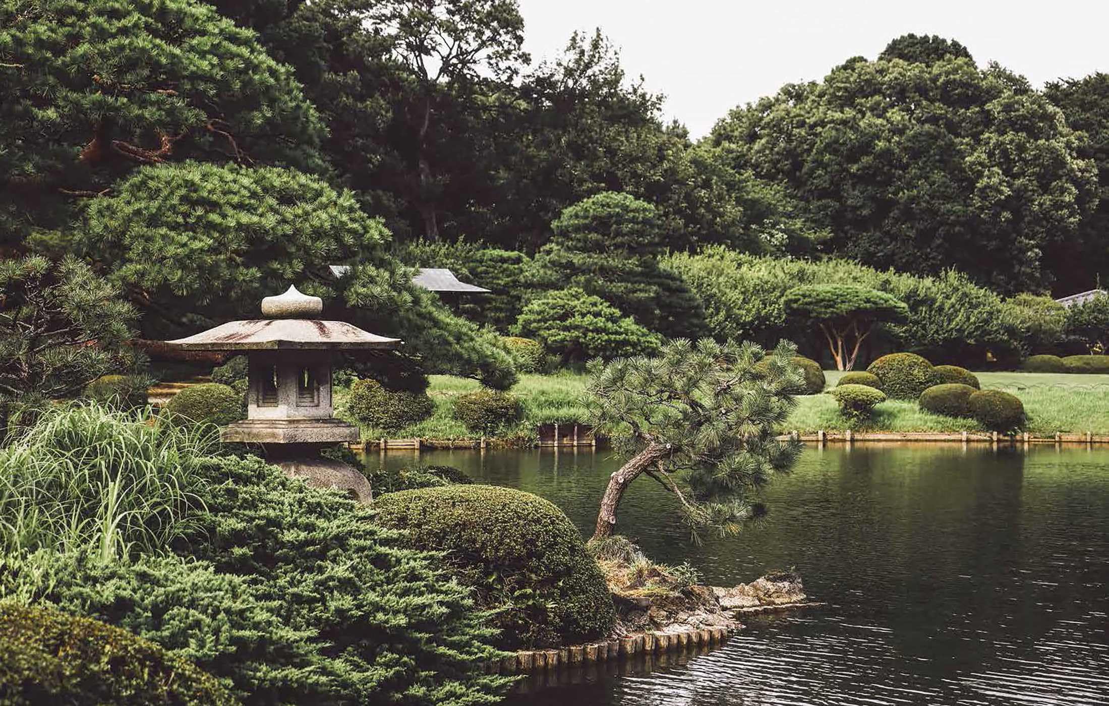 Japandi Outdoor Living