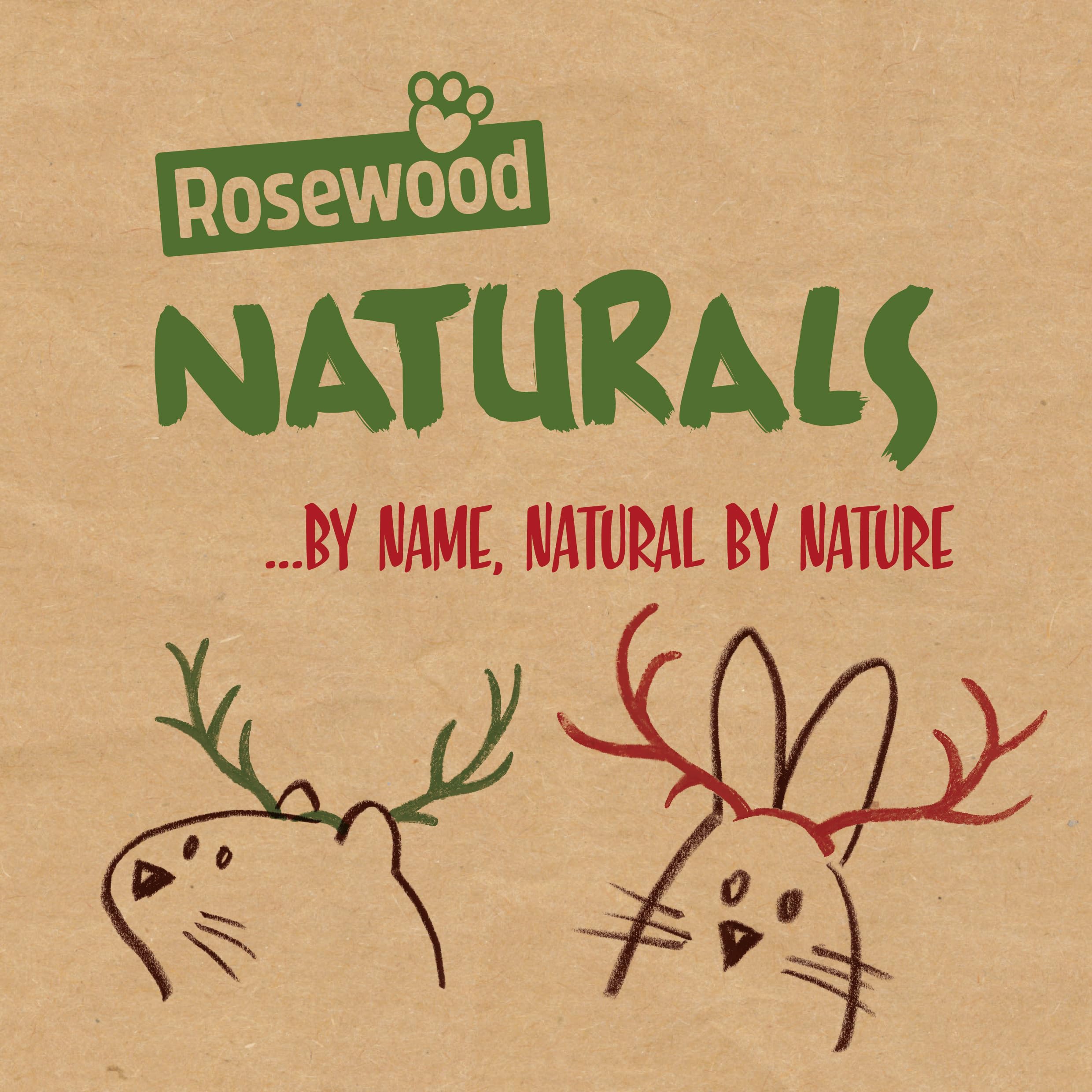 Rosewood Naturals Wintery Hay Cottage for Small Animals, Medium – Edible Hideaway & Chew Toy with Coconut “Snow” Roof, Cosy Activity House for Guinea Pigs, Rats & Chinchillas, 27 x 20 x 18 cm