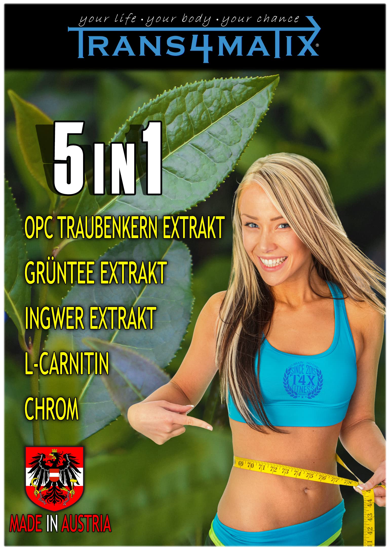 5in1 Power Burner, Grüntee, OPC, L-Carnitin, Ingwer, 1x 60 Kapseln, 27g