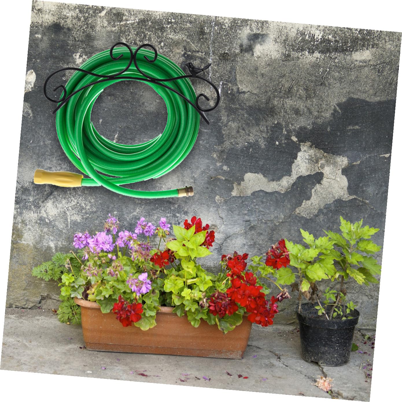 Eisen Gartenschlauchhalter Schwarz Antiker zur Wandmontage