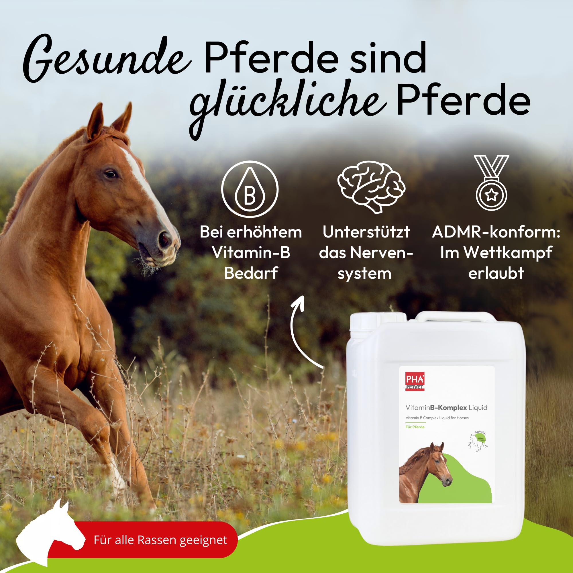 PHA Vitamina B complesso cavallo: supporta nervi, zoccoli, pelo e metabolismo, liquido anti-stress per cavalli, per lenire, vitamine B 5 l