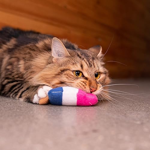 Miniatura 5 de Pet Craft Supply Silly Snacks and Funny Food Crinkle Cuddling Catnip and Silvervine - Juguetes interactivos para gatos, ideal para gatos de