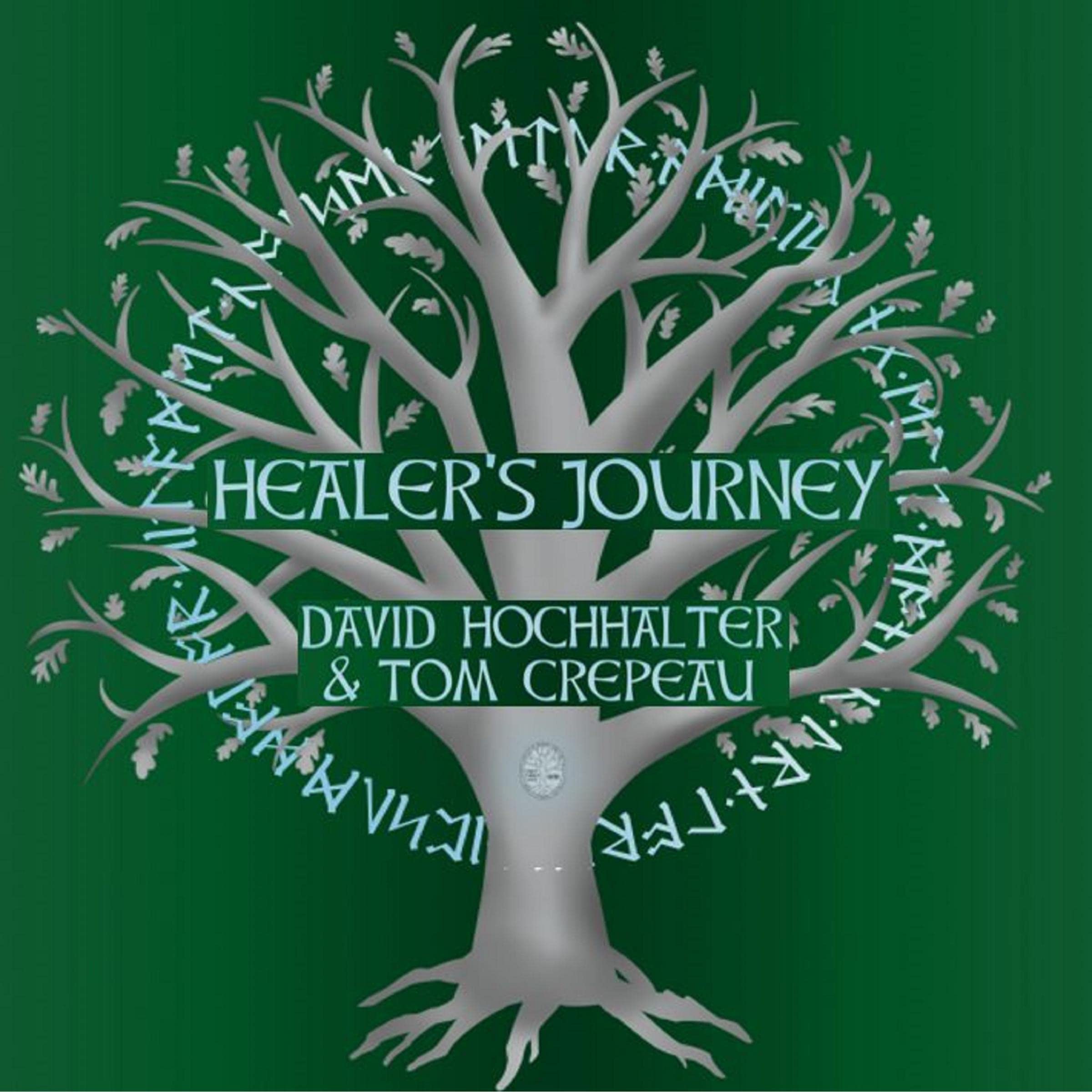 Cover art for Healer's Journey