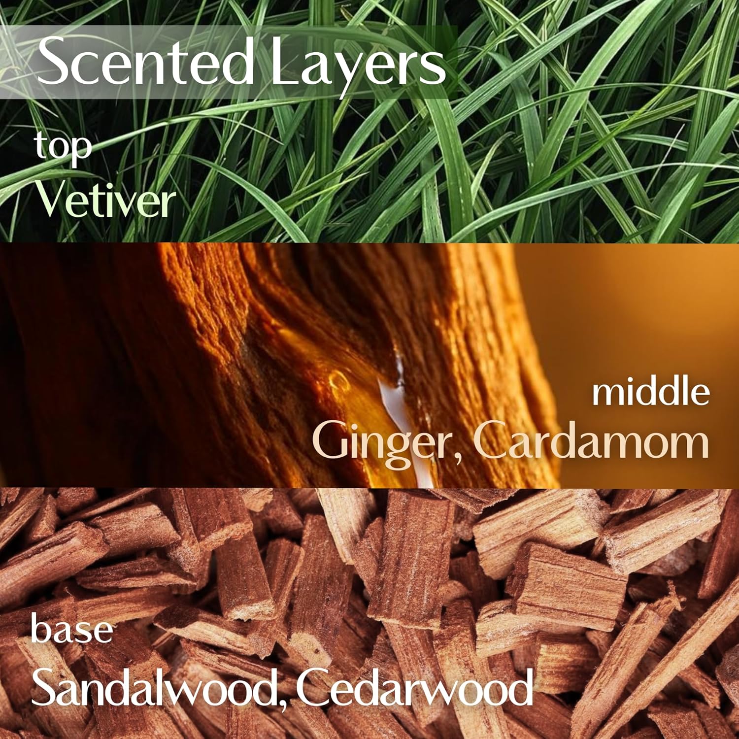 Hersteller Nearby Desert Wood Vegan Body Lotion 10.1 fl oz - Zero-Irritation Eco-Ceramide Formula with 100% Recyclable Packaging, Non-Sticky Moisturizing - Image 4