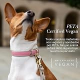 Ver la foto 5