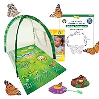 Vista 1 de Insect Lore Butterfly Garden Experience Vale prepagado sin cargo Canjee Raise and Release 5 Baby Painted Lady Caterpillars Hábitat
