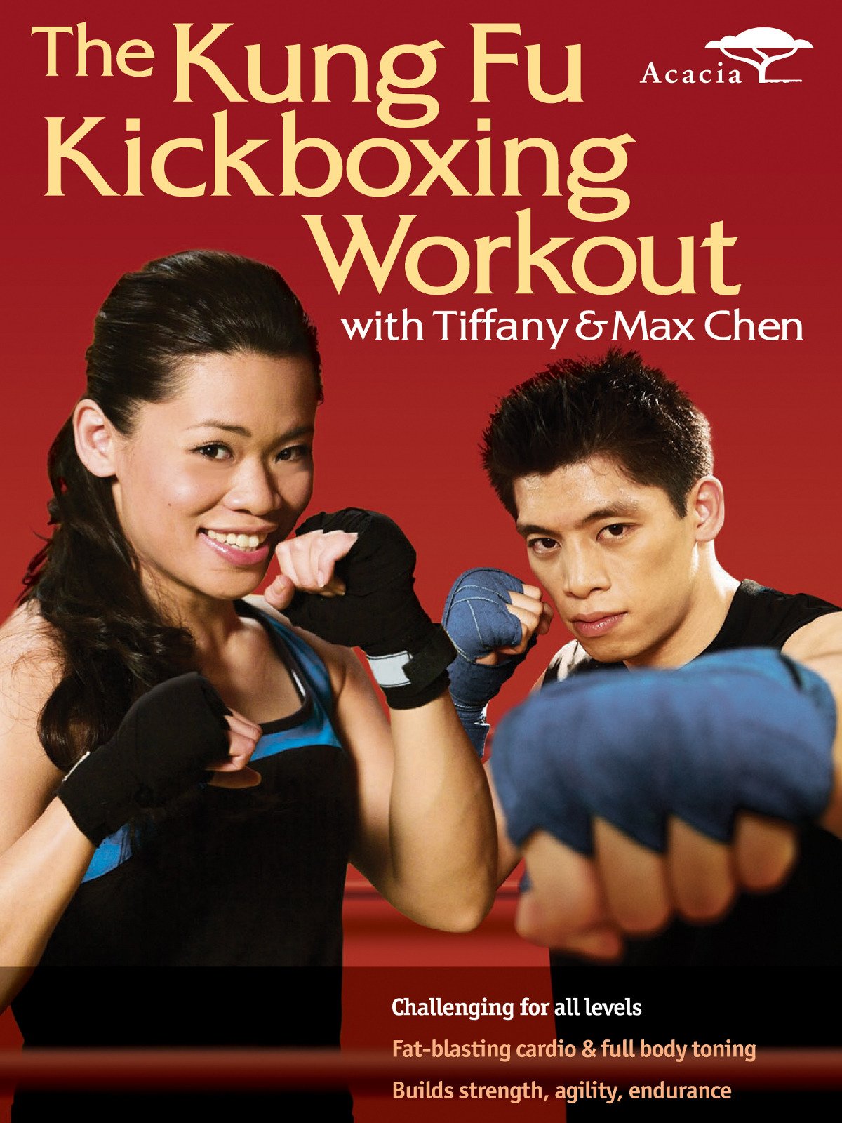 Kung Fu Kick Boxing Workout