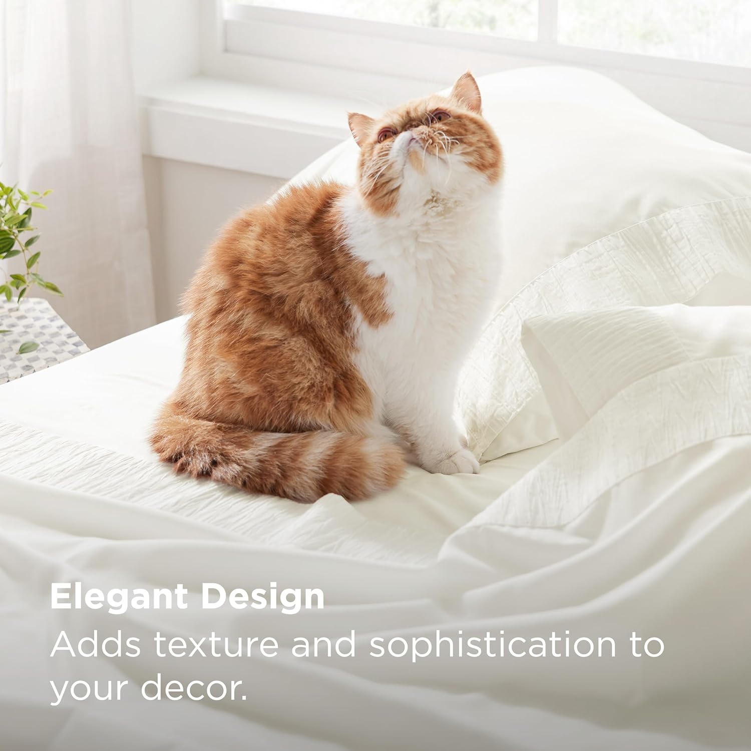 Bedsure Queen Sheet Set - 4 Pieces Soft Queen Size Sheets - Breathable & Cooling - Hotel Luxury - Easy Care Polyester Microfiber Bedding for Women, Men, Ivory