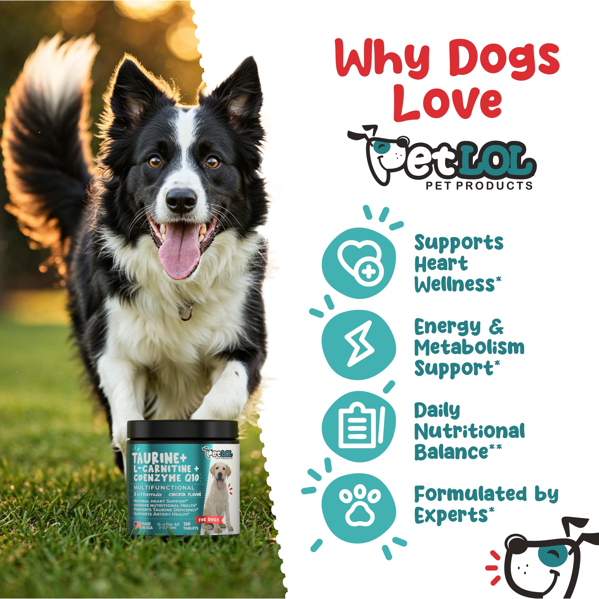 Snapklik.com : PET LOL Taurine Supplement For Dogs
