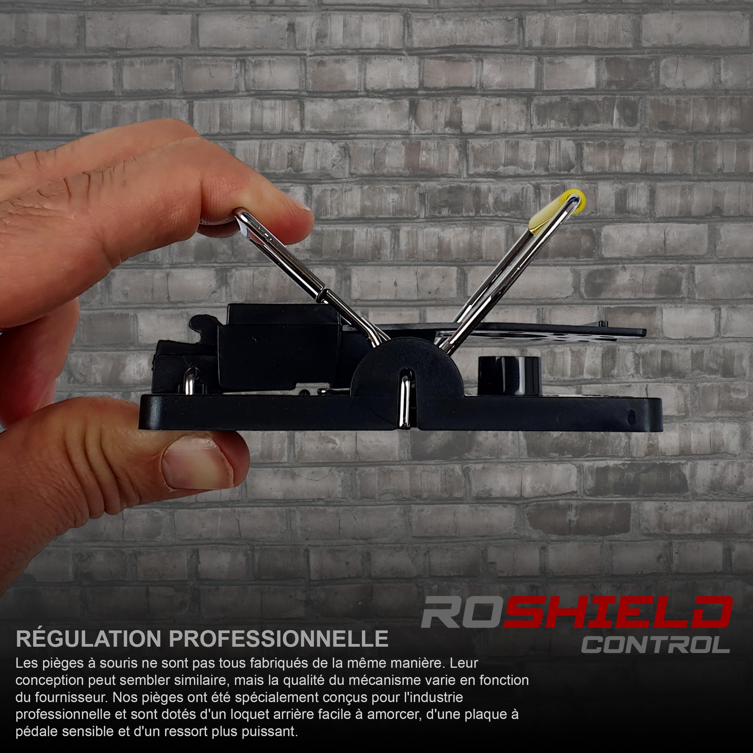 6 pièges à Souris Roshield, 6 Paquets de pièges réutilisables et résistants Qui tuent instantanément, Attrape-Souris très Sensible UK, piège à rongeurs sûr et Efficace pour l'intérieur et l'extérieur
