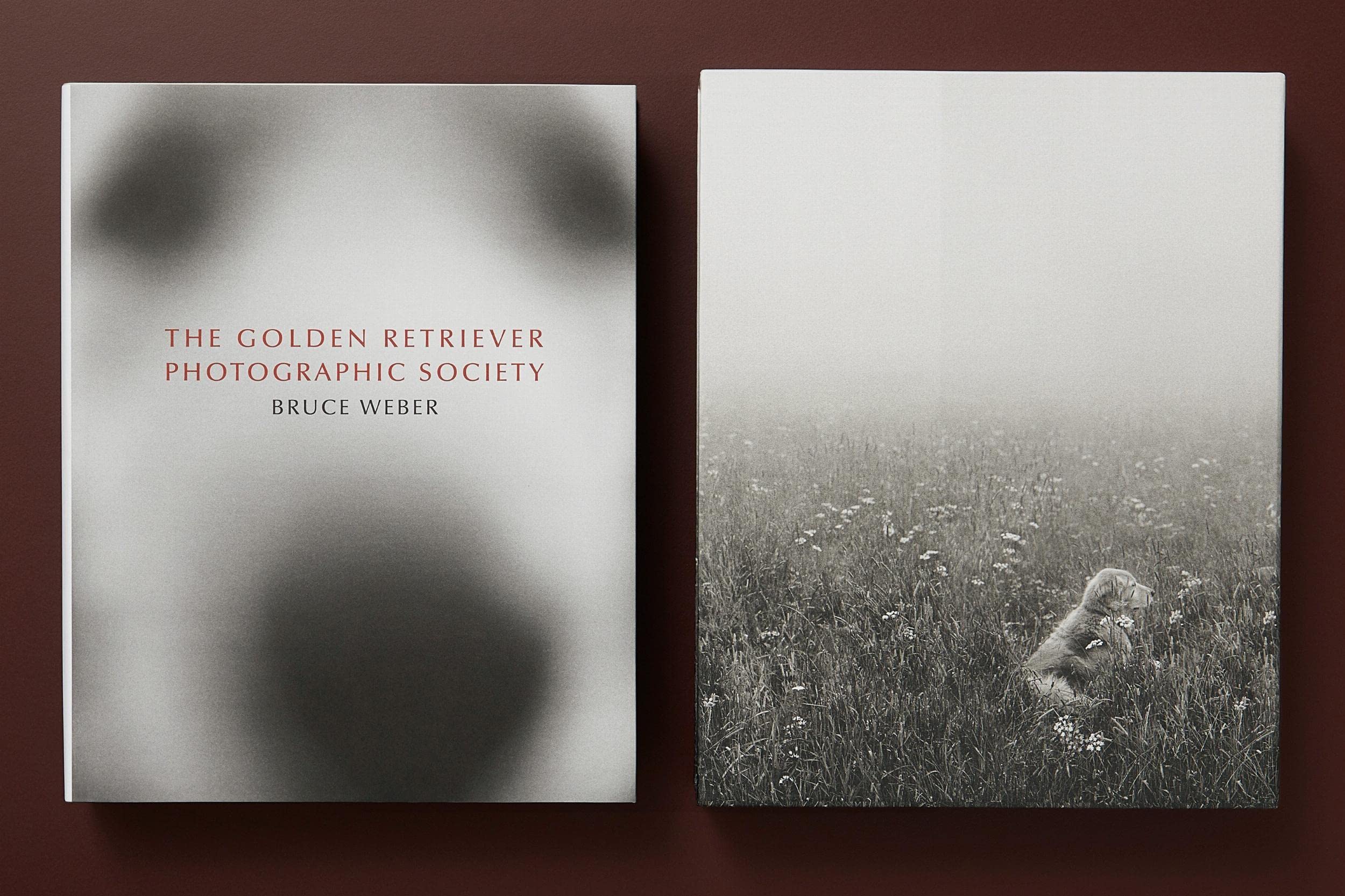 Bruce Weber: The Golden Retriever Photographic Society