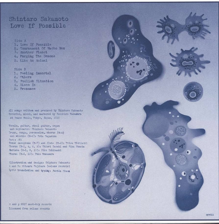 邦楽 Shintaro Sakamoto Love If Possible LP Love If Possible | Shintaro Sakamoto