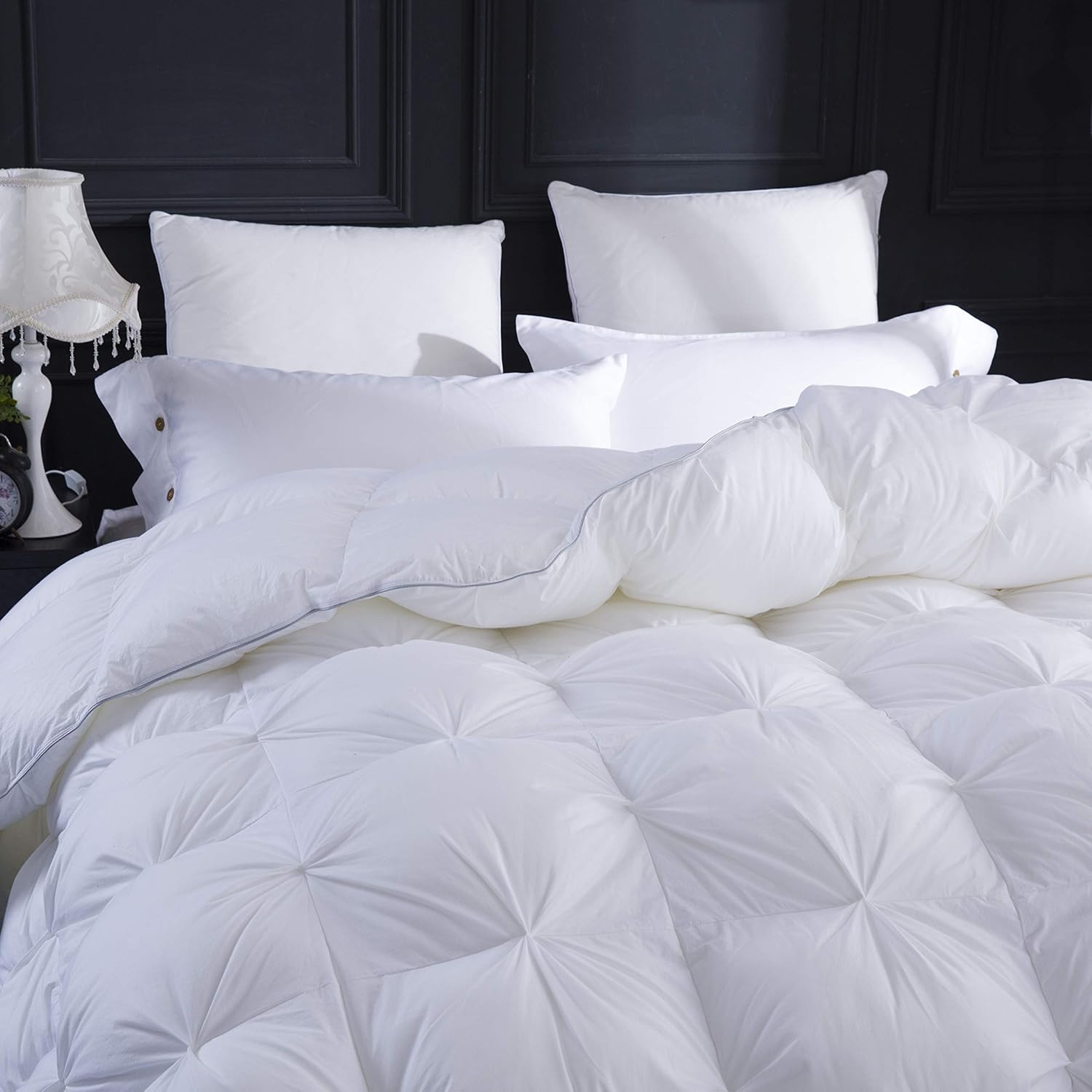 LESNNCIER Full/Queen Size Goose Down Comforter, 100% Egyptian Cotton Cover,Goose Down Duvet for All Season - 800 Fill Power(Queen Size) : Home & Kitchen