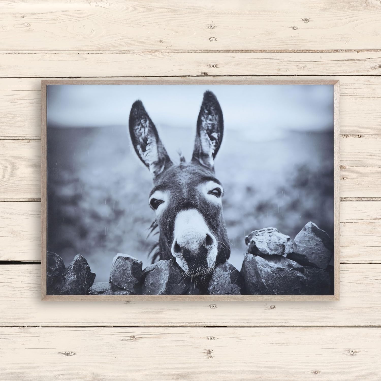 Creative Co-Op Black  White Donkey on Canvas Framed Wall Décor