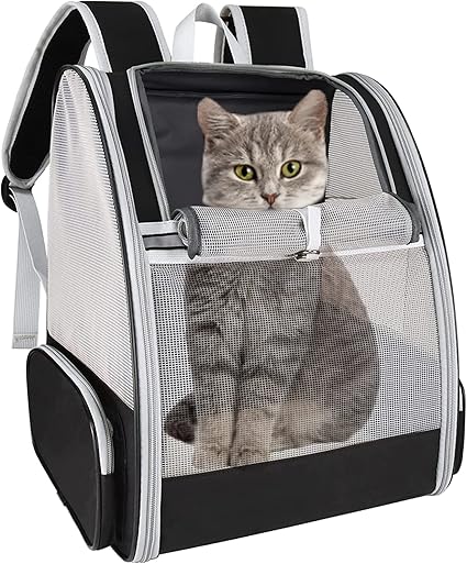 amazon large cat carrier
