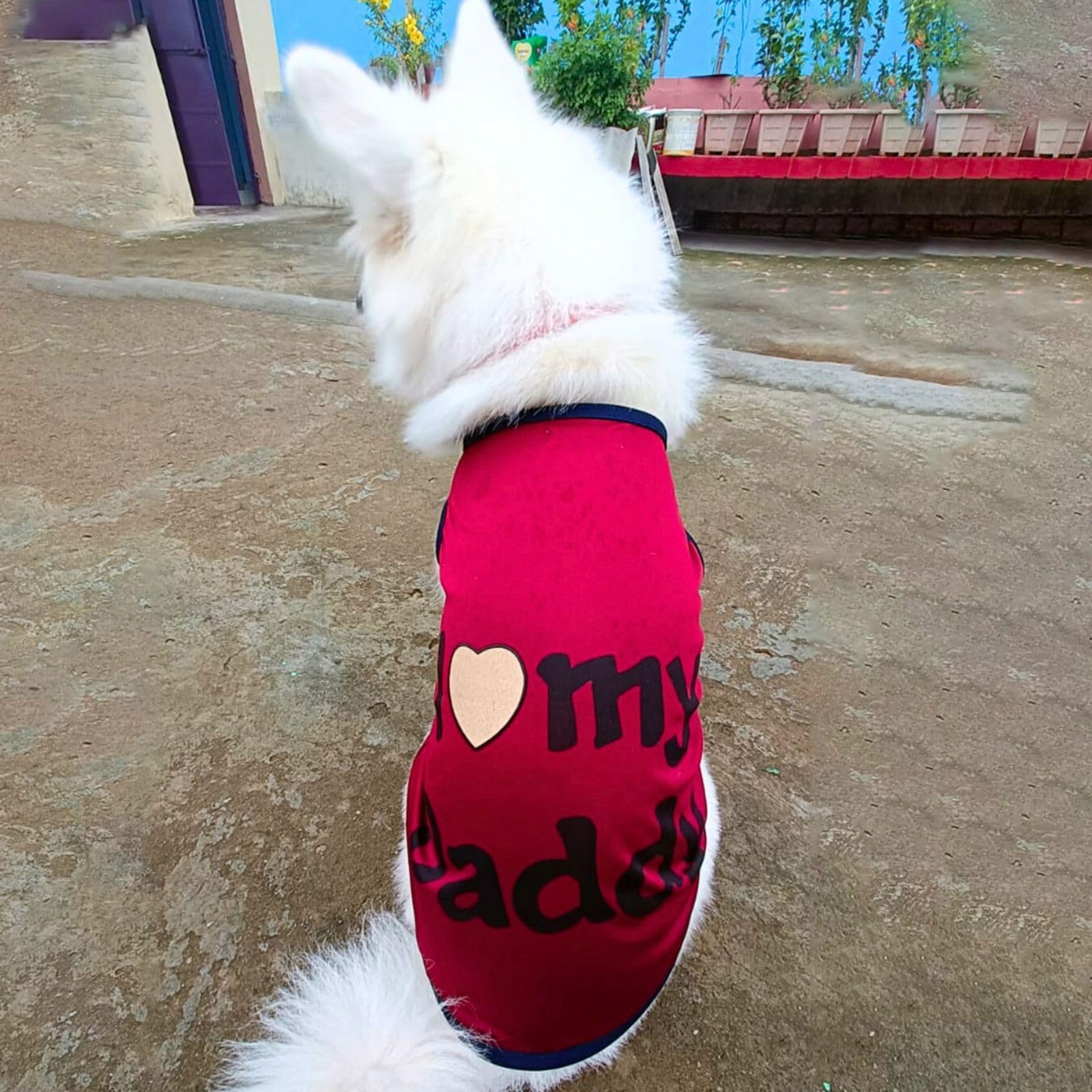 Lulala Pet t-Shirt Printed Round Neck Sleeveless Dog Vest Tank T-Shirt/Tees Apparel/Clothes/Tees Gift for Small Medium and Large Dogs Cats Red (10 Inch) (B0CDWFV8TF) Amazon Price History, Amazon Price Tracker