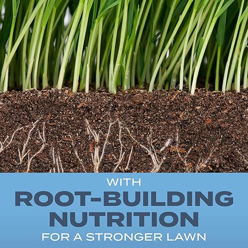 Miniatura 2 de Scotts Turf Builder - Semillas de hierba Kentucky Bluegrass Mix  3 libras uso en pleno sol sombra clara textura de hoja fina y resistencia media a