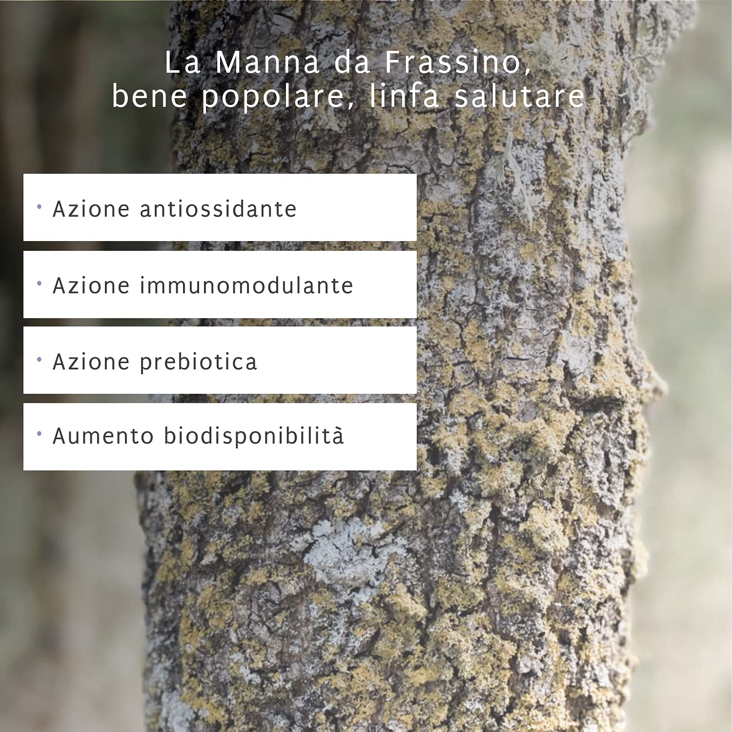 PHYSIOMANNA BABY con pura Manna da Frassino, camomilla, melissa e finocchio, per il benessere gastrointestinale per bambini da 0 a 3 anni – barattolo, 100 gr