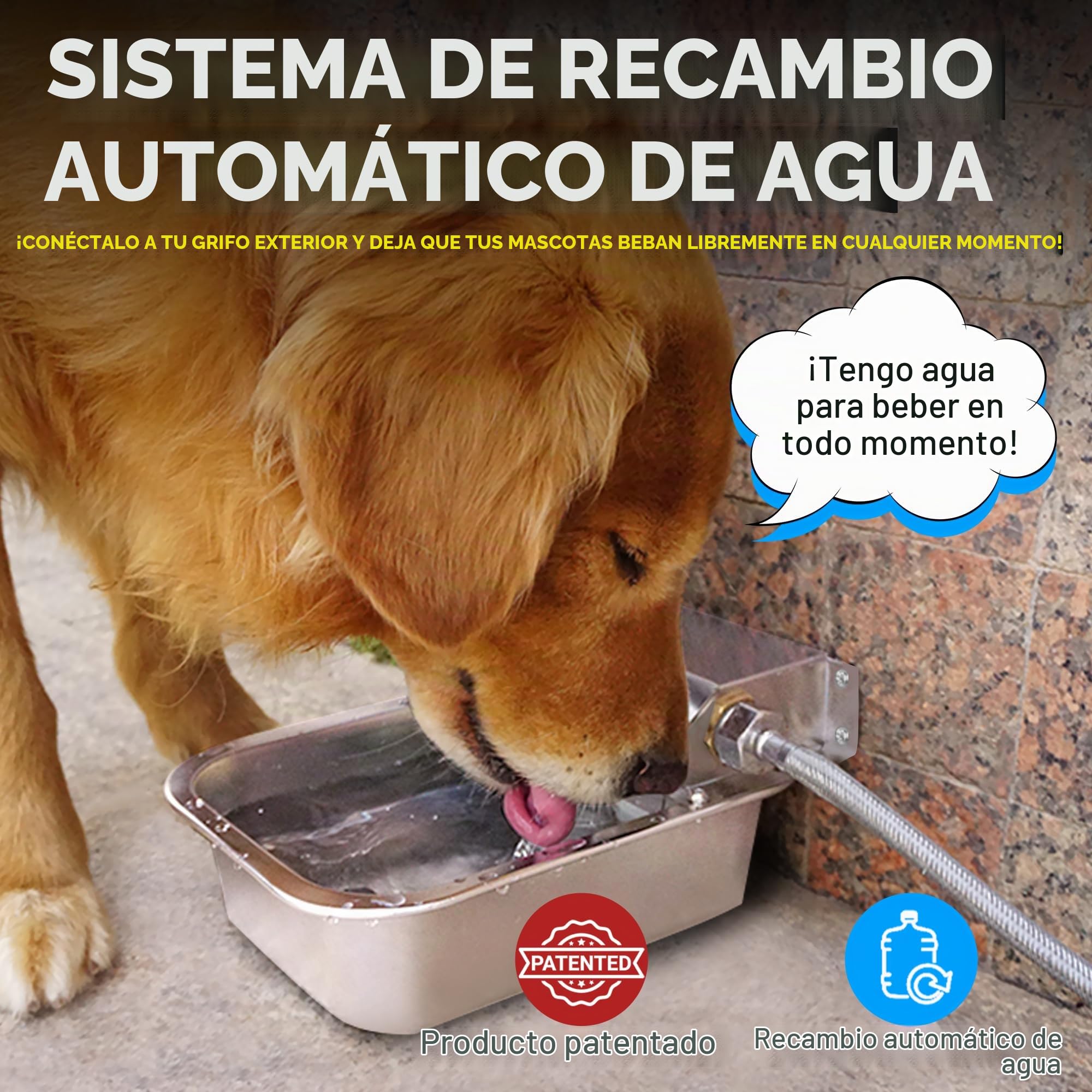 Dispensador automático de agua para perros para exteriores