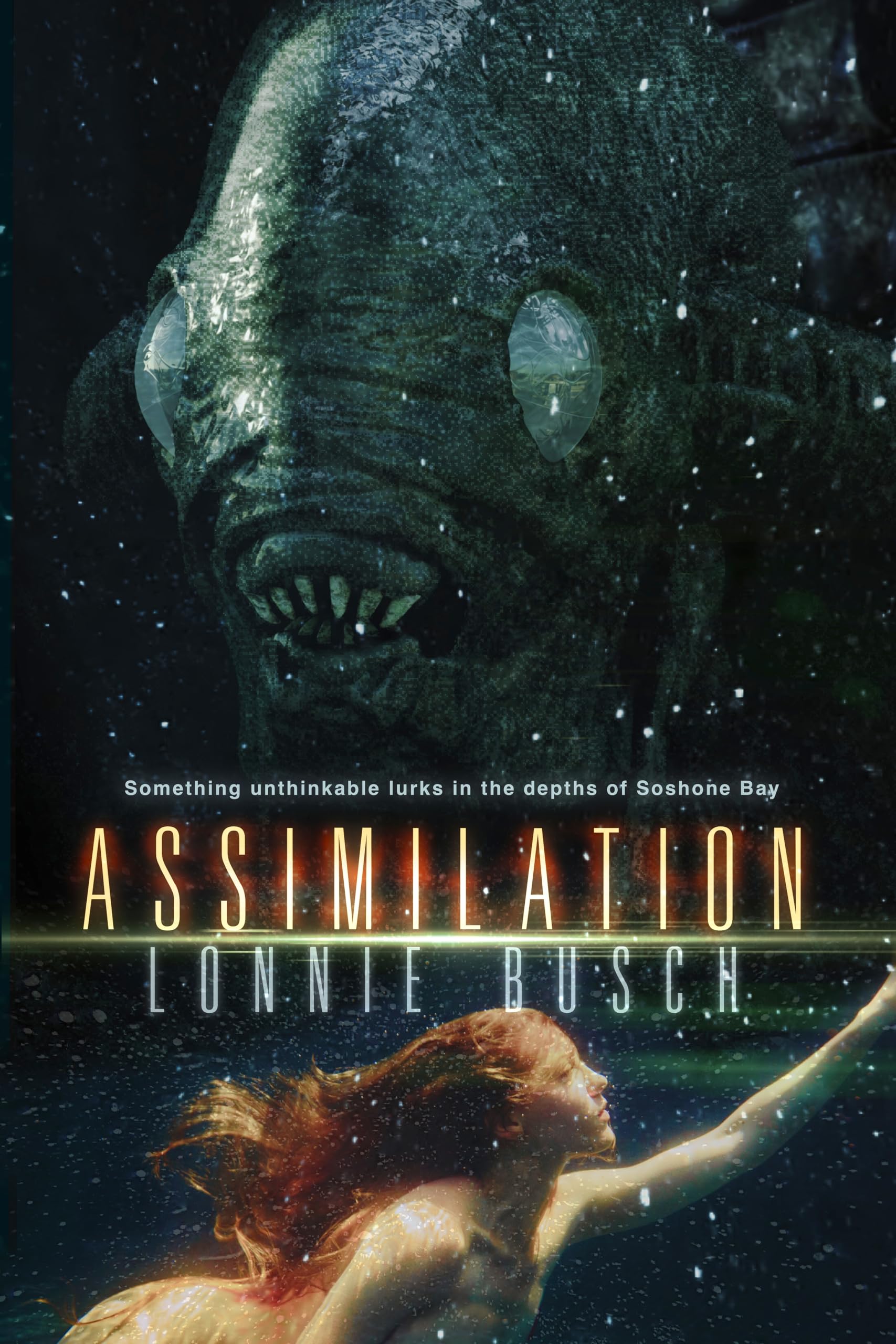 Assimilation