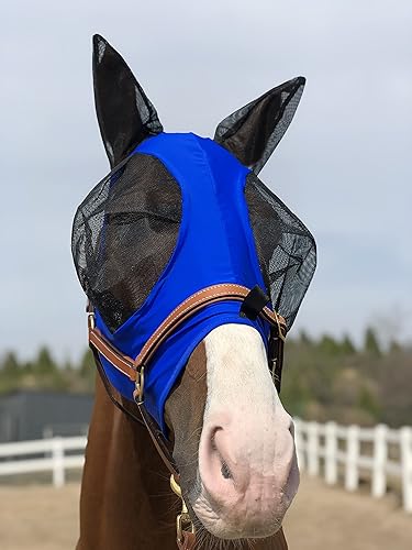 Miniatura 39 de Máscara para caballo Tgw Riding, con orejas, con agarre extracómodo, de malla suave, Azul, M Azul (Dk Blue)