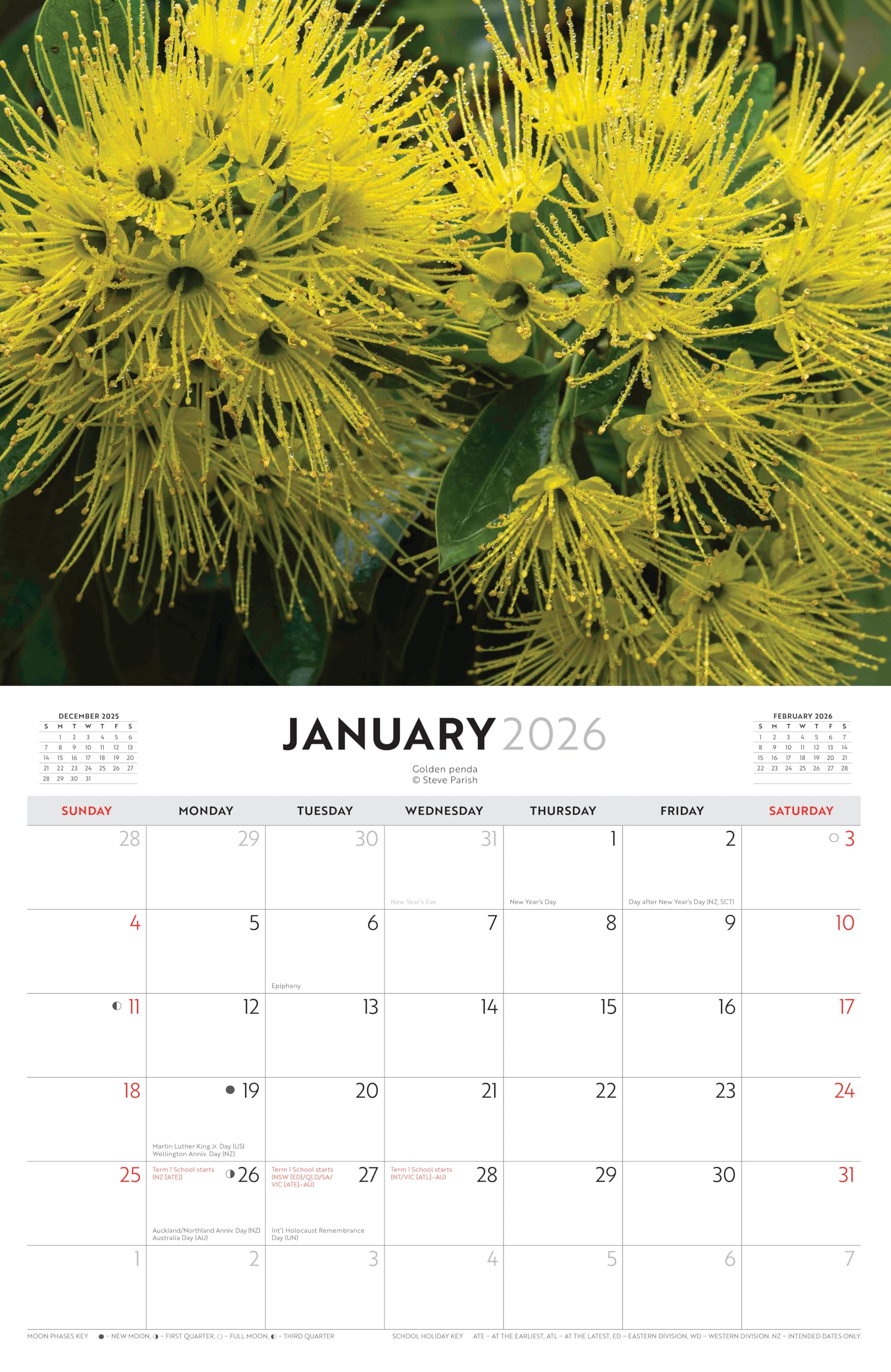 Australian Wildflowers - Steve Parish 2026 Horizontal: Wall
