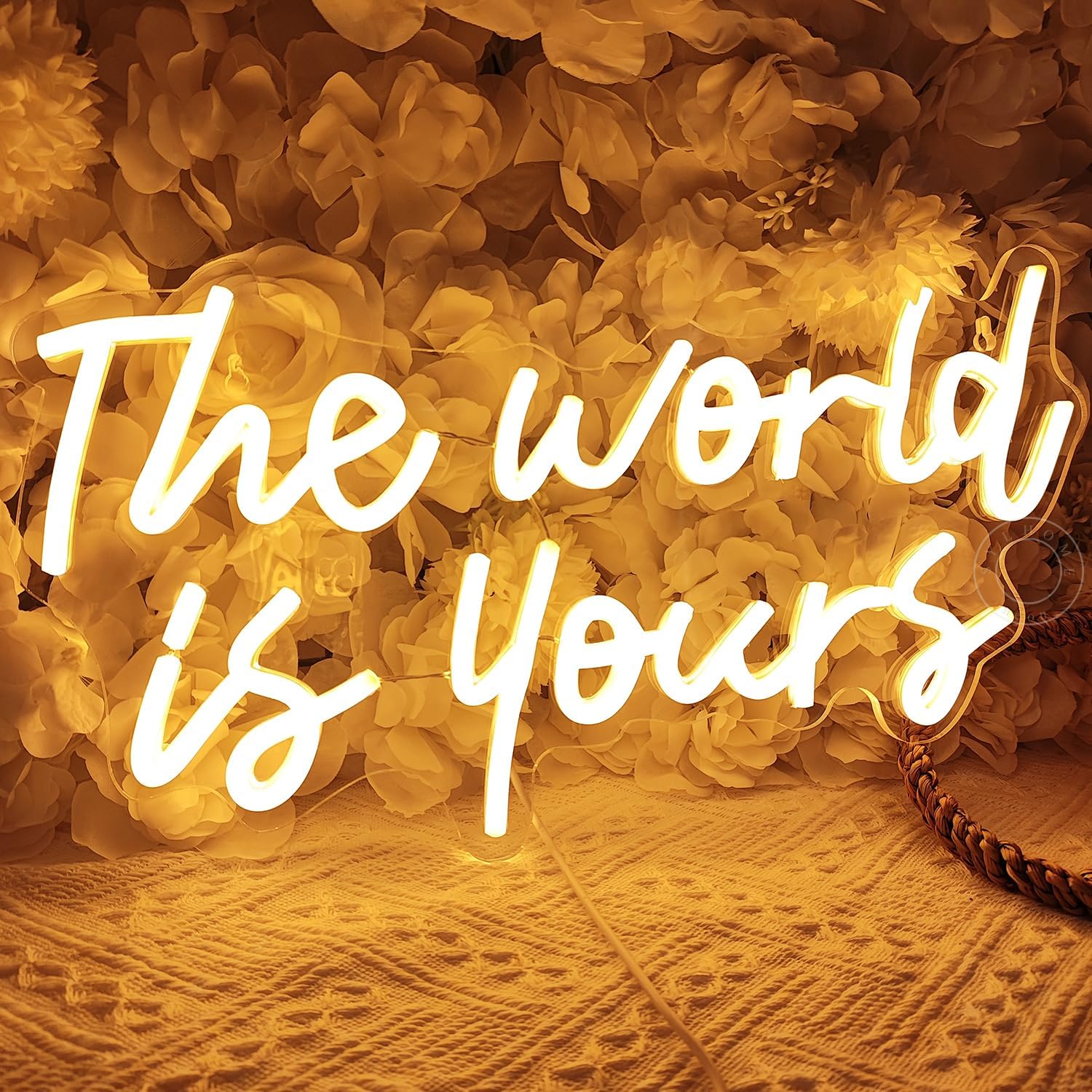 SYLHOME The World Is Yours Led Neon Light Sign Cool Bedroom Game Kids Room Wall Decor Sign Birthday Christmas Party Home Pub Club Bar Inspirational Light Up Sign USB 15.75"X8.46" Warm - Image 3