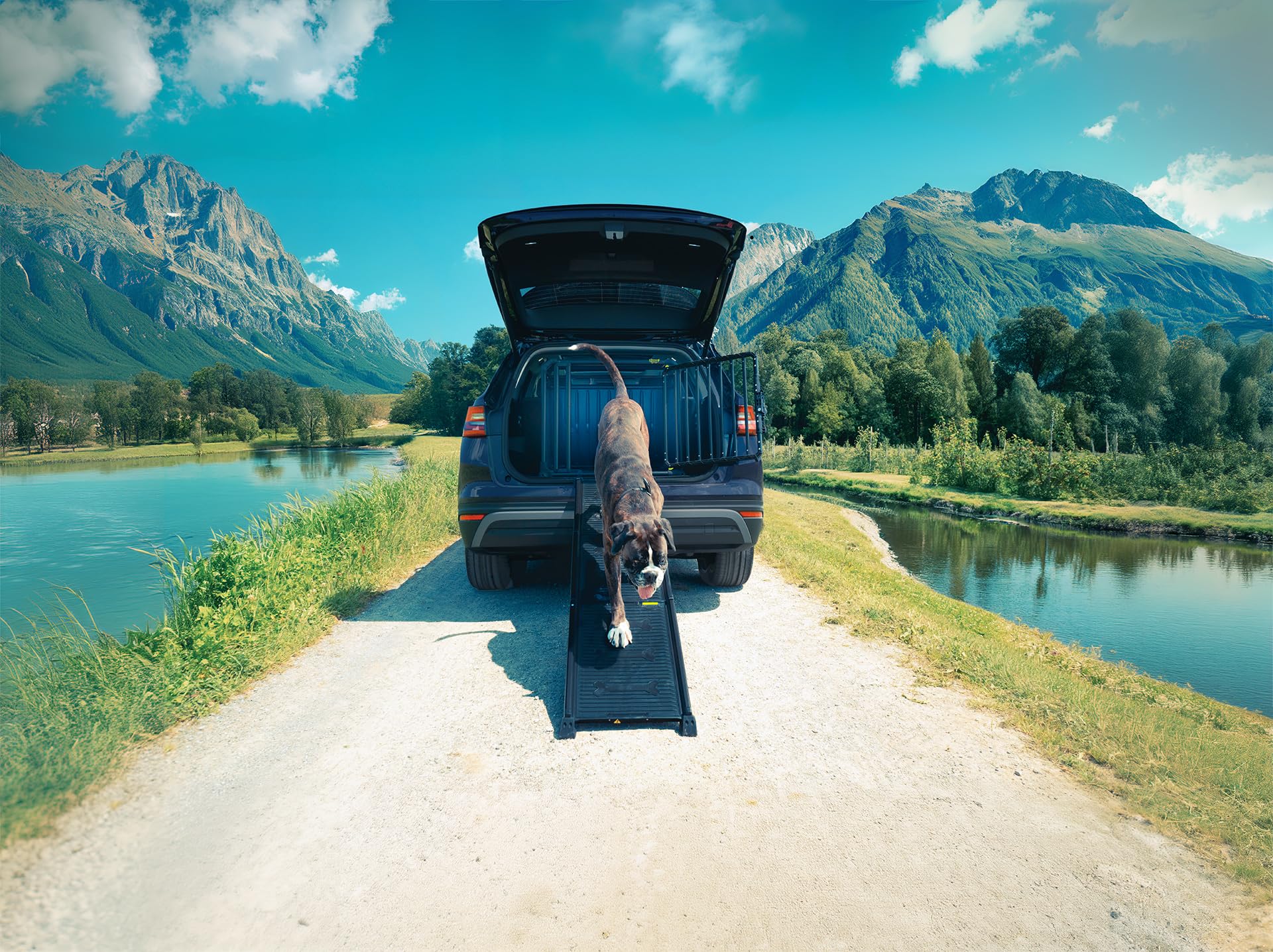 4PETS - Rampe pour Chien EasySteps - Rampe Télescopique pour Voiture Antidérapante - Capacité 100 kg
