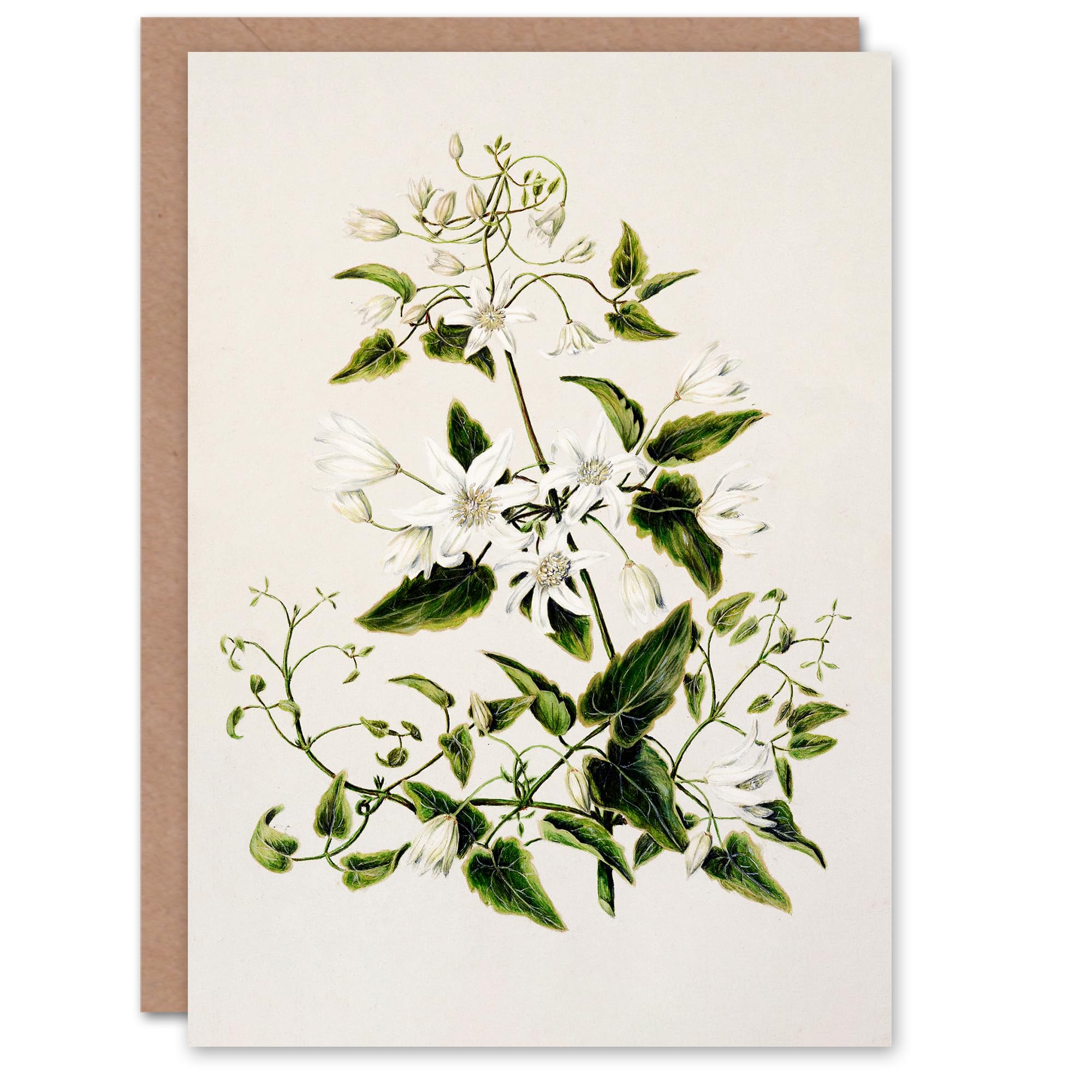 Sarah Featon Art Card New Zealand Pikiarero White Clematis Flowers