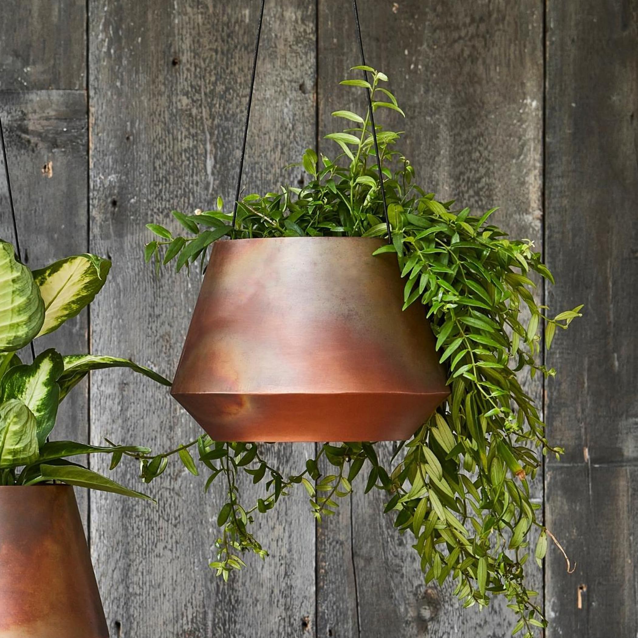 Ivyline Indoor Soho Aged Copper Hanging Planter with Leather Strap -  Lightweight, Stylish & Waterproof - Durable Mild Steel Flower Pot - H15cm x  D19cm : Amazon.ae: Patio, Lawn & Garden