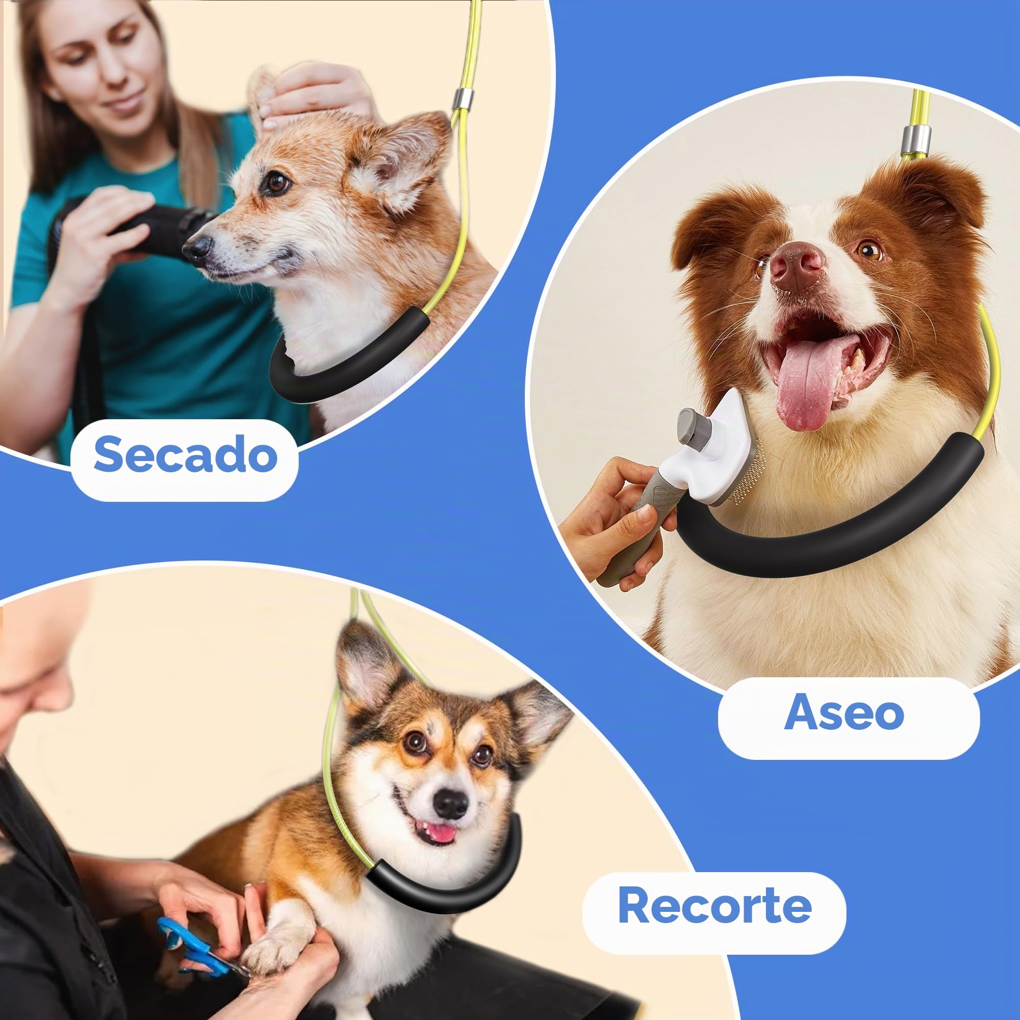 Brazo de Aseo Plegable para Perros con Abrazadera – Altura Ajustable 66–102 cm, Brazo de Mesa de Grooming con Hamaca y Sujeción Anti-Sentado, Sistema de Sujeción para Perros Pequeños y Medianos