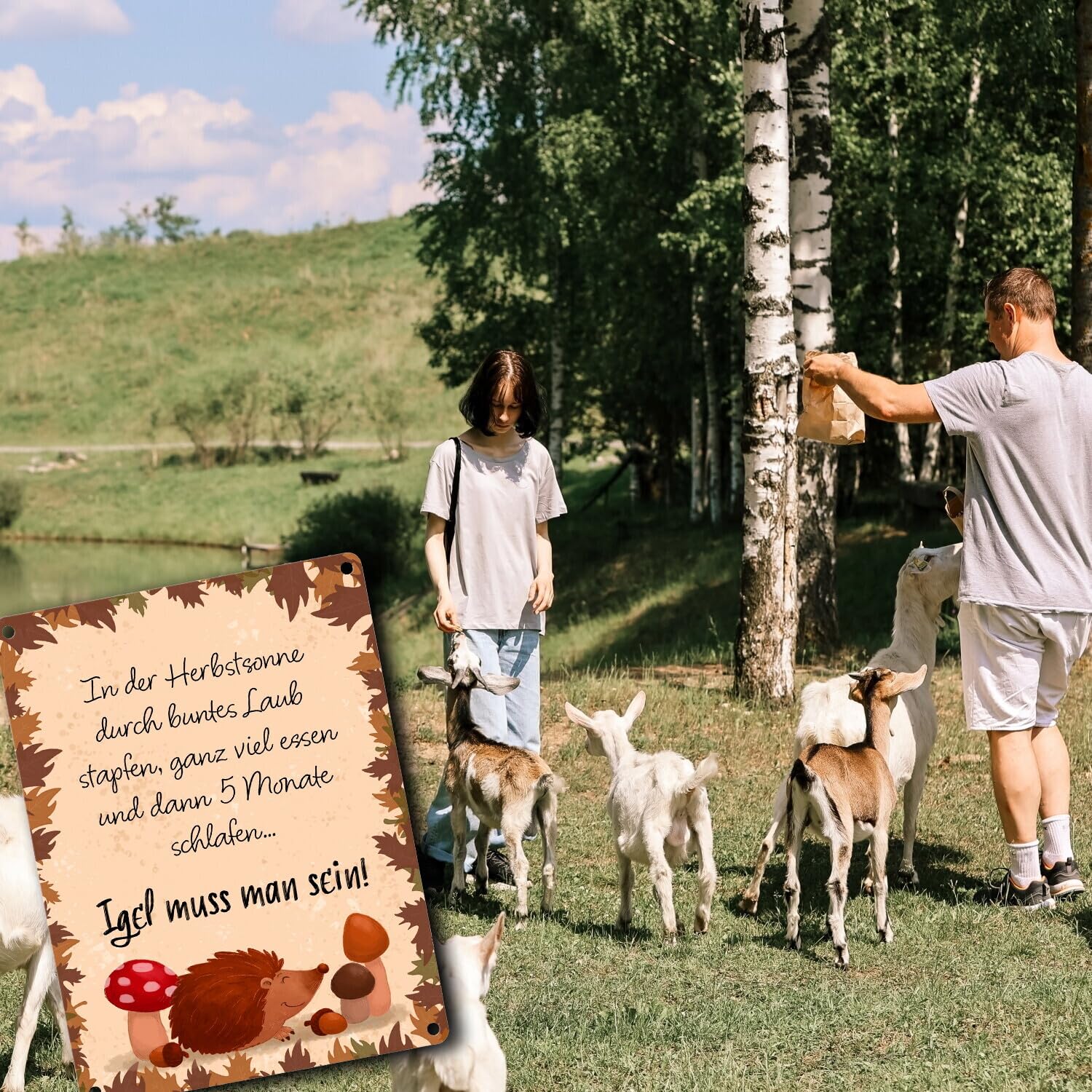 Lustiges Igel Metallschild '5 Sterne Igel-Oase' - 15x20cm Für Den Garten