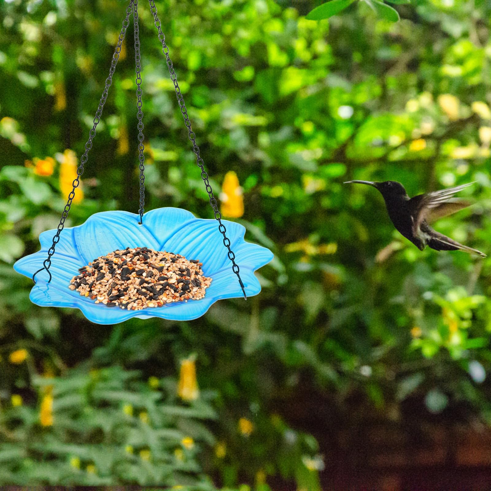 Mangiatoia per Uccelli Sospesa in Vetro, Semplice, Decorativa