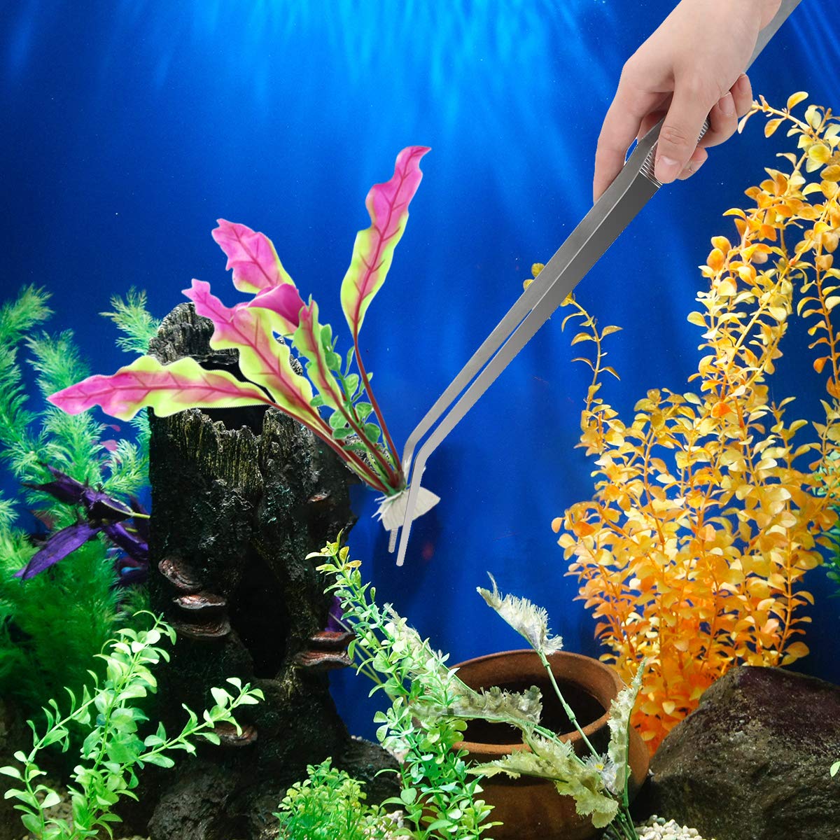 Pinzas de Acuario extralargas de 15 Pulgadas Liveeeek, de Acero Inoxidable, Rectas y Curvas, 38 cm, Pinzas Extra largas para peceras y Plantas acuáticas, Pinzas de alimentación