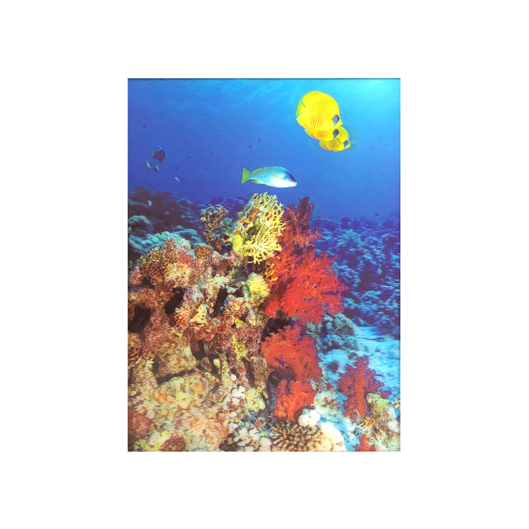 BarnwoodUSA | 15 5/8 x 11 3/4 | Fish Coral Reef 3D Lenticular Picture Artwork Unique Wall Decor Holographic Pictures Optical Illusion | Underwater Fish 3D Poster | Lenticular Posters | Artwork Only