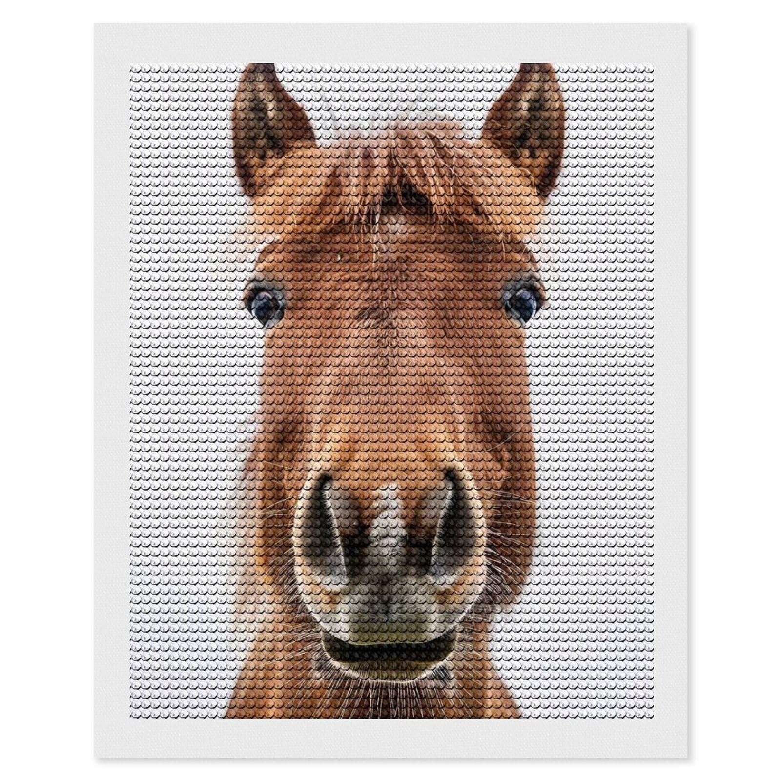 Junmoney Horse Face Diamond Painting Kit 16"x20", Festive Craft Gift, Bedroom Decor, Full Kit Included, Creative Gift Idea